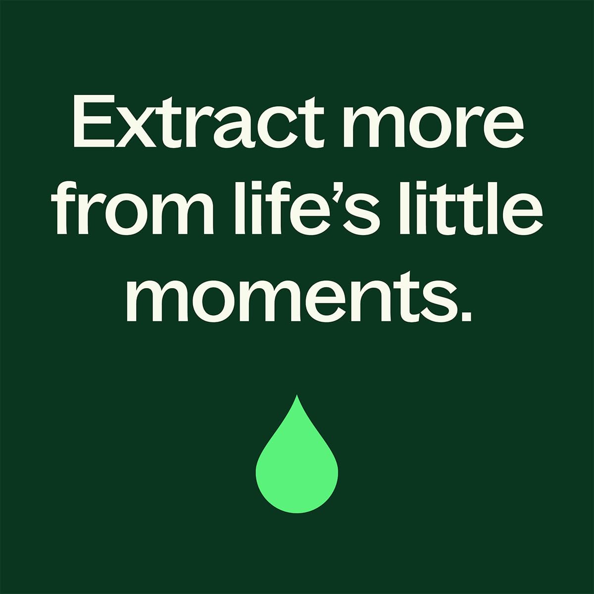 Plant Therapy Wood Spice Essential Oil Blend 10 mL – 100% Pure, Undiluted, Therapeutic Grade