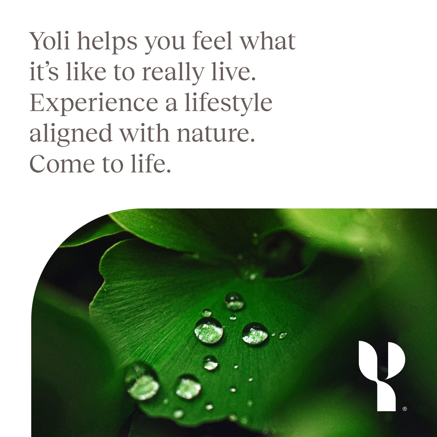 Yoli Defend - Supports Your Immunity And Boosts Your Immune Response at a Cellular Level