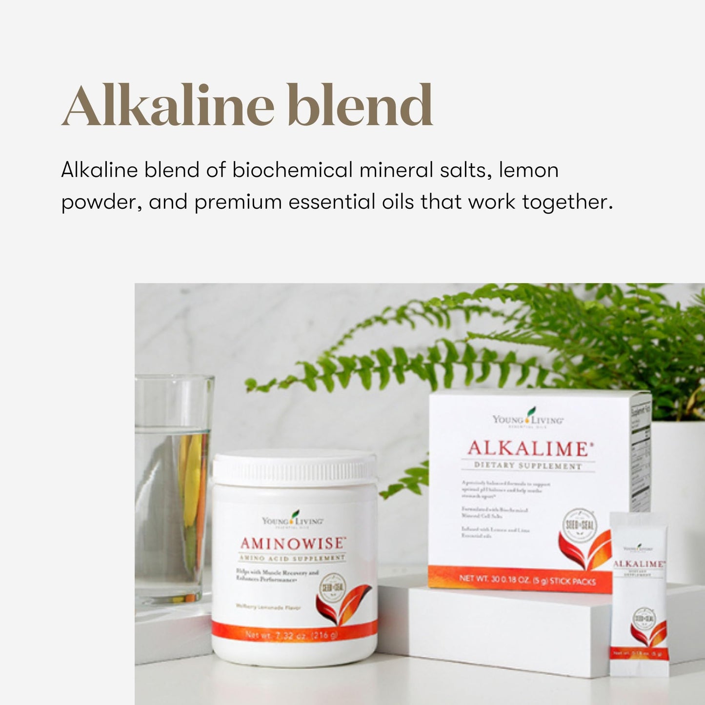 Young Living AlkaLime Stick Packs - 30 ct | Digestive Wellness, Gentle on Stomach | Vitamin & Mineral Supplement