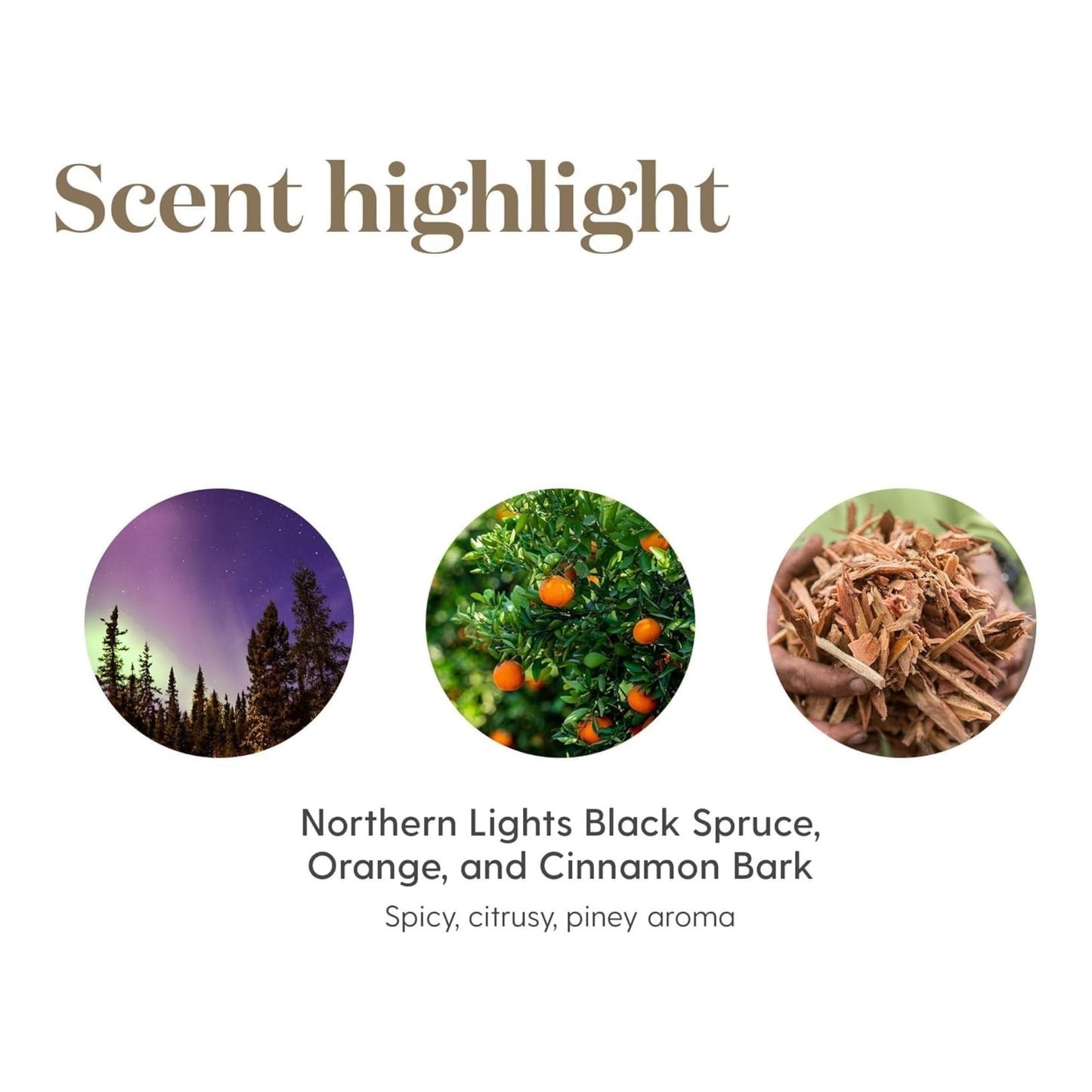Young Living Christmas Spirit Essential Oil Blend 5 ml | Diffuser Aromatherapy