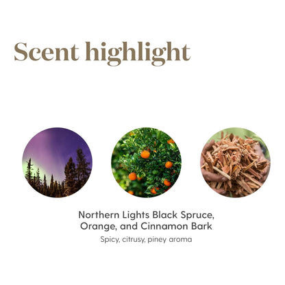 Young Living Christmas Spirit Essential Oil Blend 5 ml | Diffuser Aromatherapy