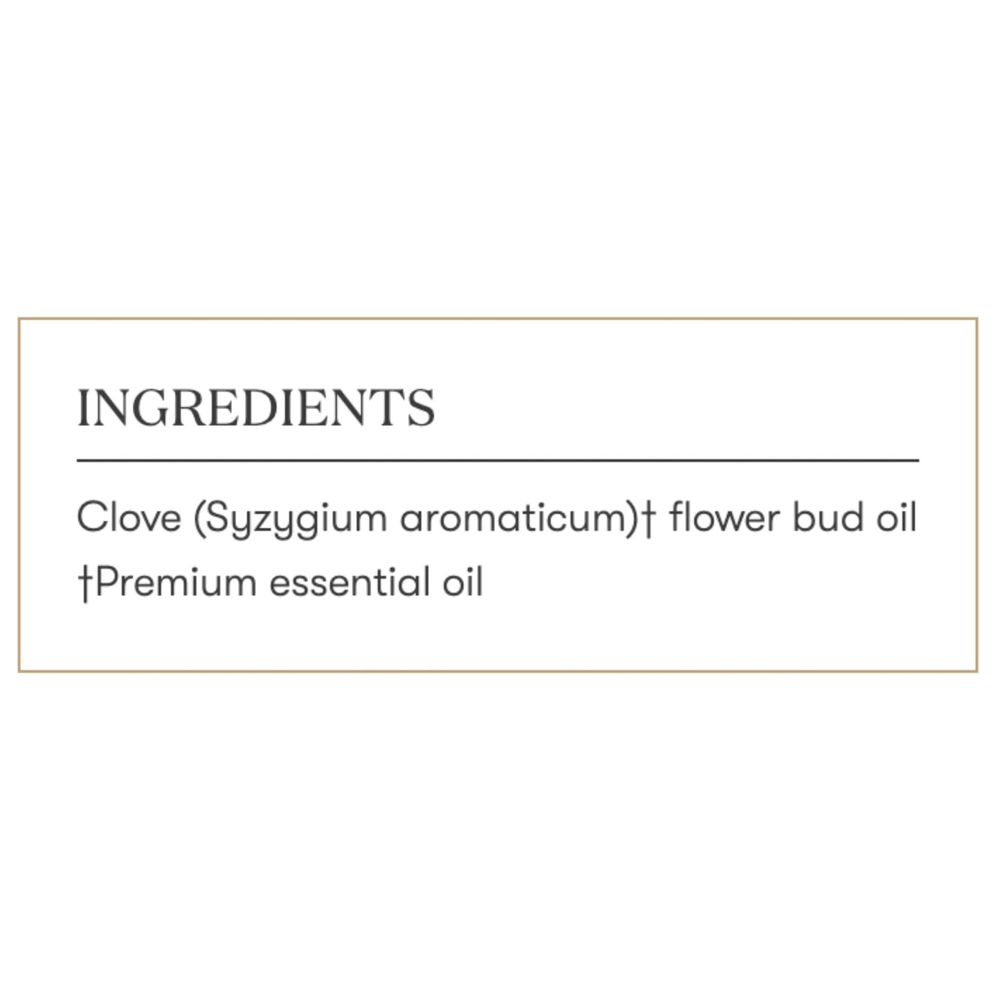 Clove Vitality 5ml by Young Living – Antioxidant Support & Culinary Essential Oil