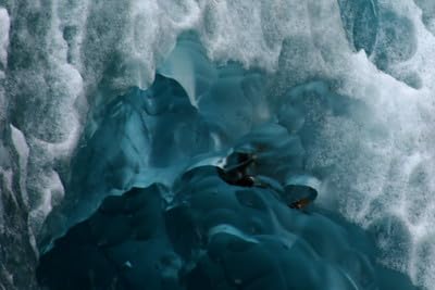 Young Living Cool Azul Sports Gel 3.4 oz – Cooling Aloe Vera Gel with Peppermint