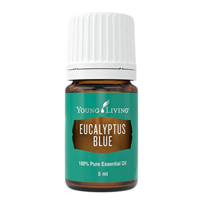 Young Living Eucalyptus Blue Essential Oil – 5 ml | Pure Botanical Extract for Diffusers & Aromatherapy