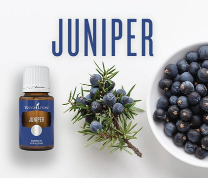 Young Living Juniper Essential Oil 15 ml | Fresh, Grounding Aroma for Diffuser, Skincare & Massage
