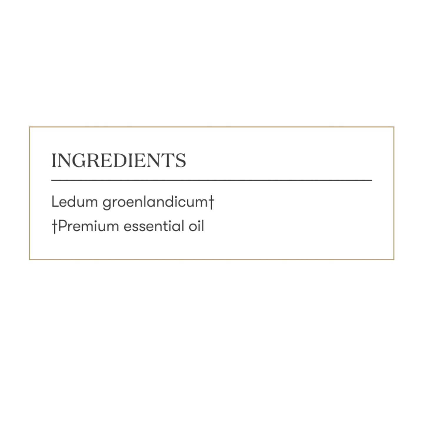 Young Living Ledum Premium Essential Oil 5ml – Meditation & Sacred Diffuser