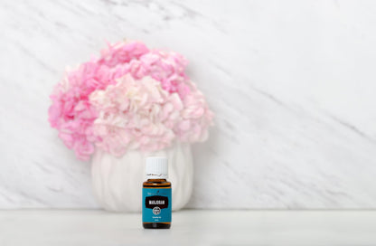 Young Living Marjoram Essential Oil 15ml | Aromatherapy, Massage & Muscle Support