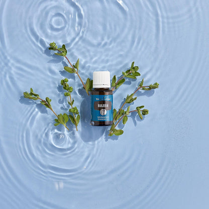 Young Living Marjoram Essential Oil 15ml | Aromatherapy, Massage & Muscle Support