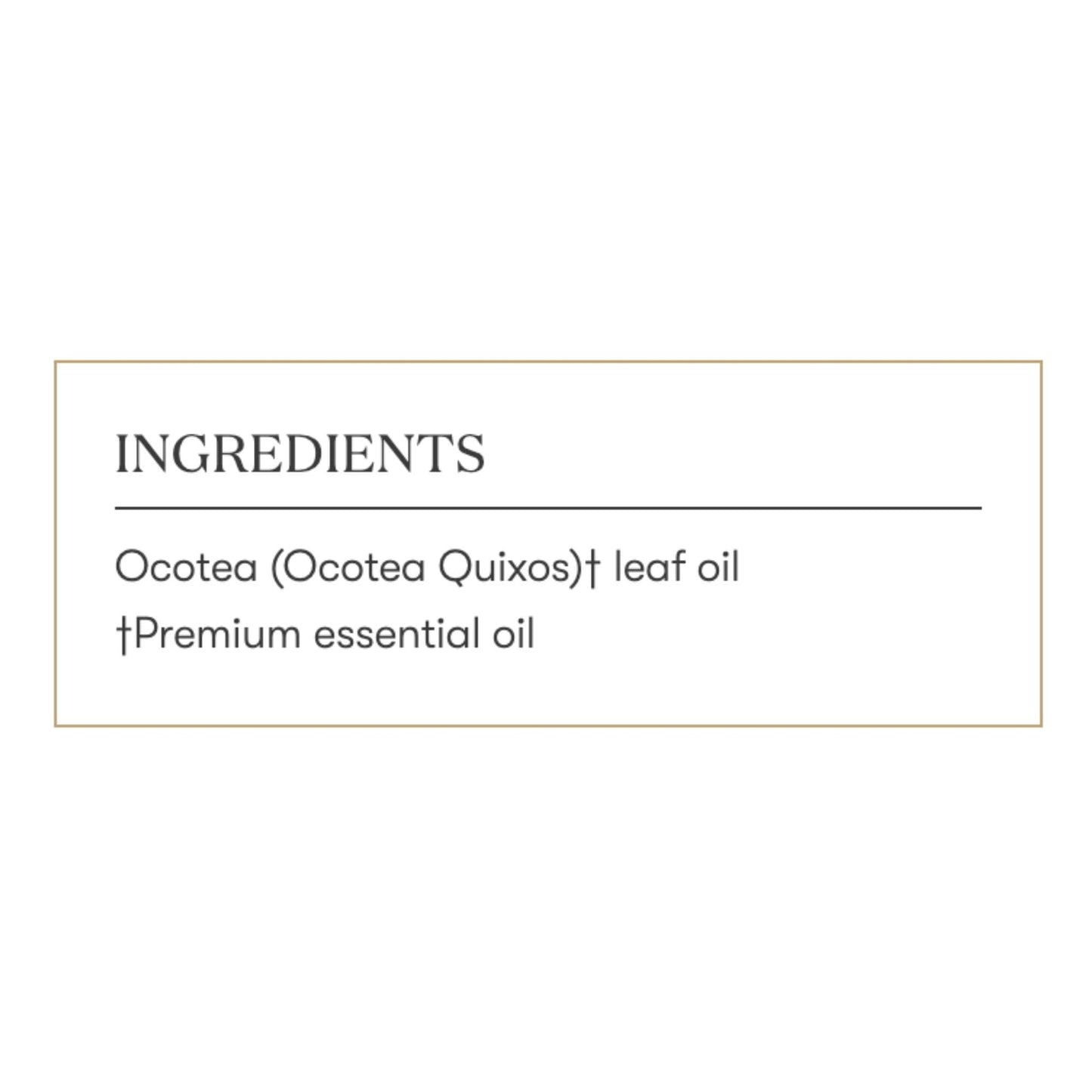 Young Living Ocotea Essential Oil 5 ml | Warm, Spicy Aroma & Skin Cleansing