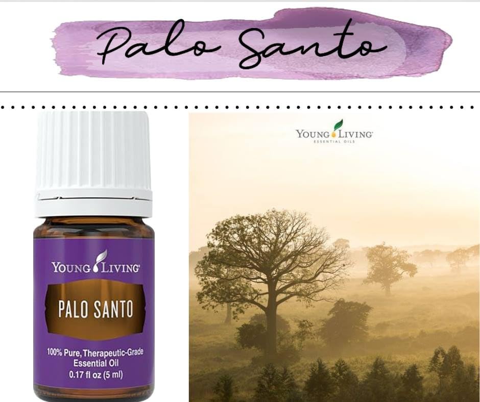 Palo Santo Essential Oil 5ml by Young Living | Pure Therapeutic-Grade