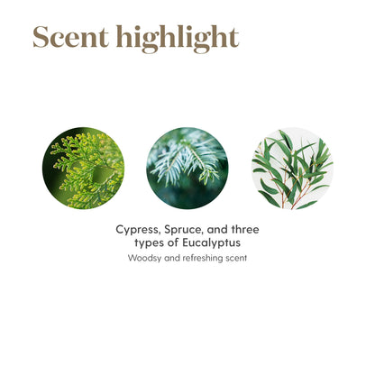 Young Living R.C. Essential Oil Blend – 5ml | 100% Pure, Fresh Aroma for Diffuser & Topical Use