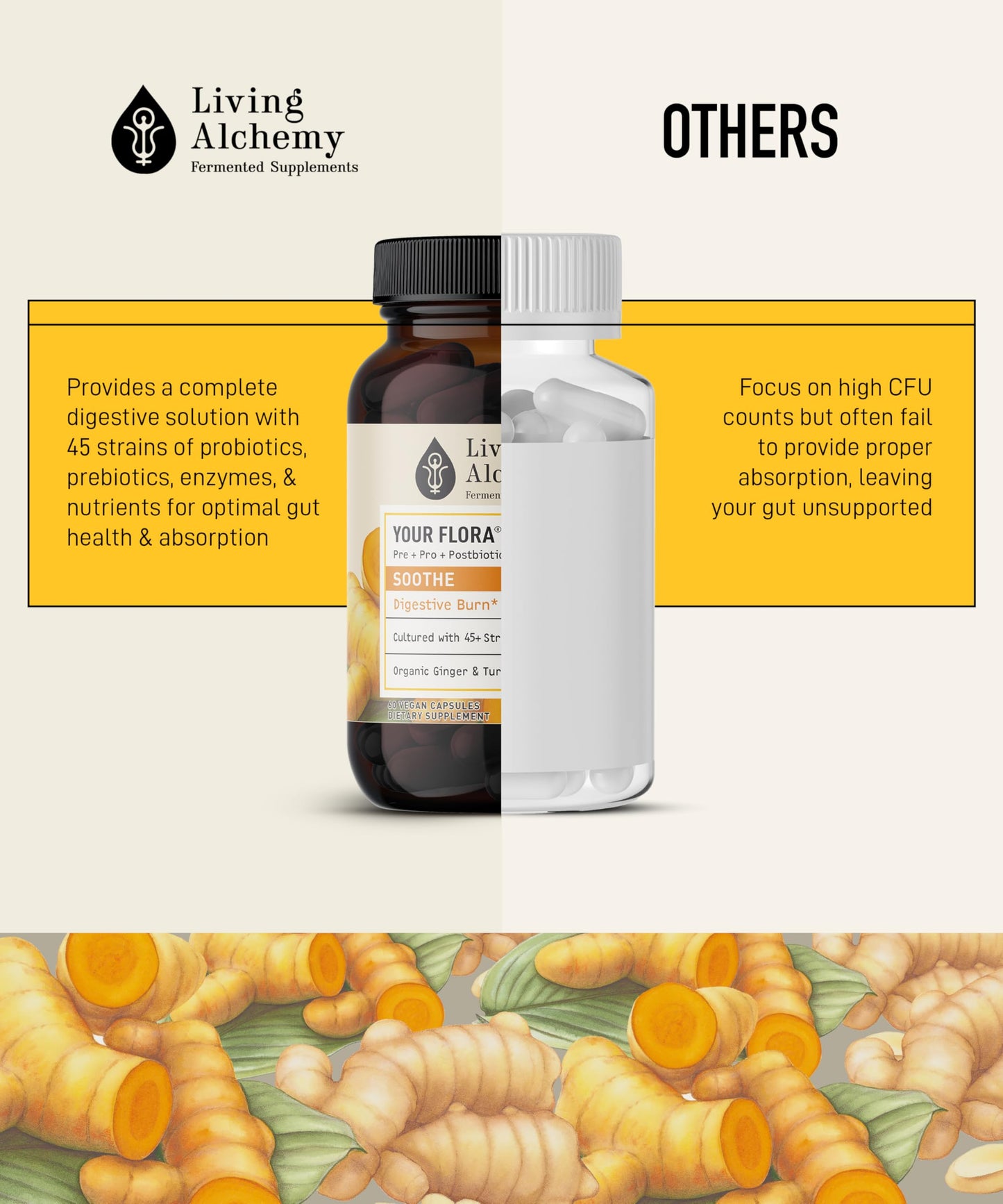 Your Flora Probiotic Soothe – Non-GMO Probiotics with Ginger & Turmeric | Living Alchemy, 60 Pcs