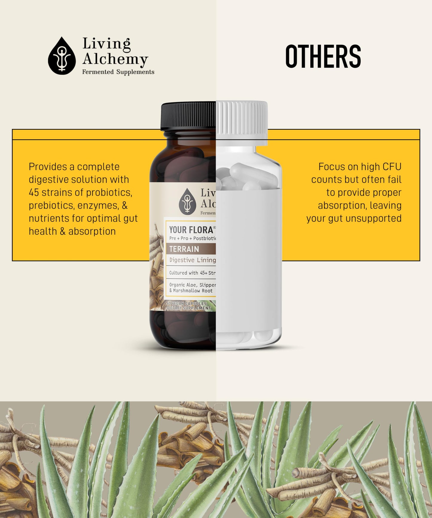 Your Flora Probiotic Terrain – Non-GMO Probiotics with Fermented Soybean, Aloe Vera, & Slippery Elm for Gut Balance & Digestion | Living Alchemy, 60 Pcs