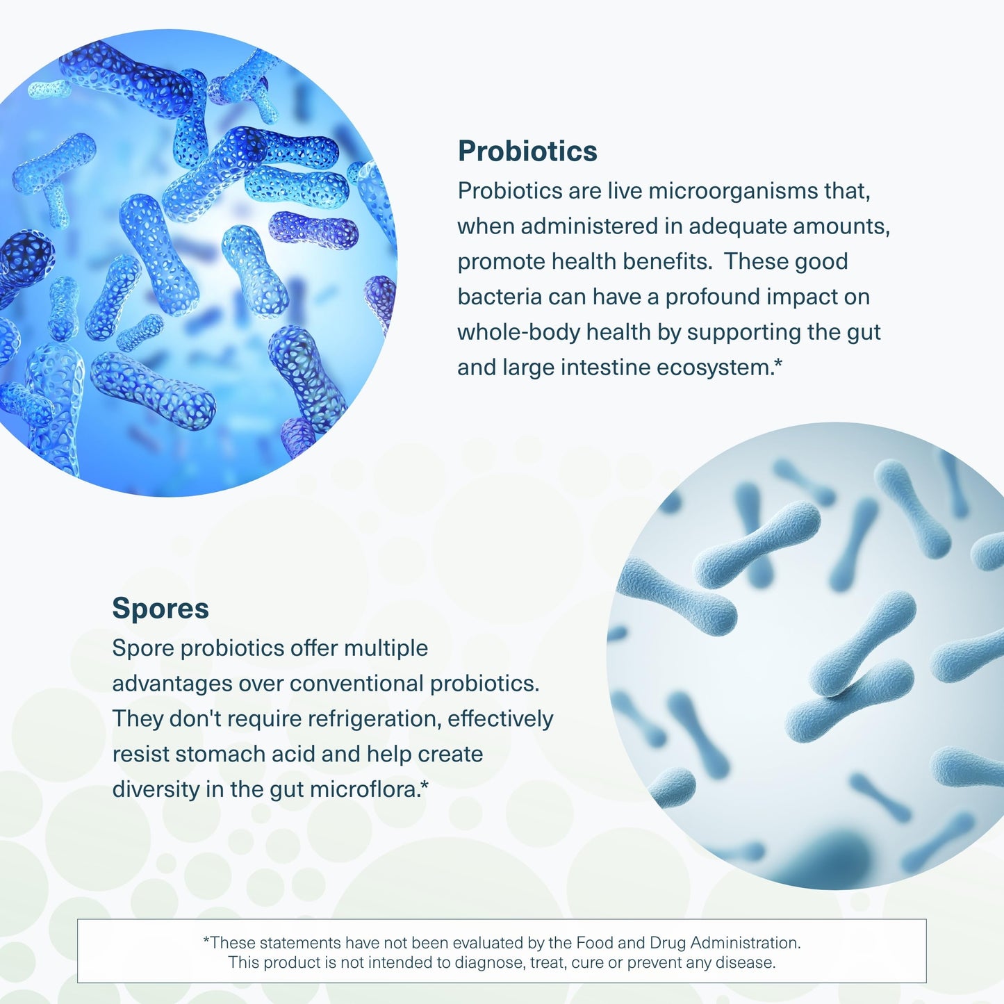 Youtheory Spore Probiotic 6B CFU - Digestive Support - 60 Veggie Caps