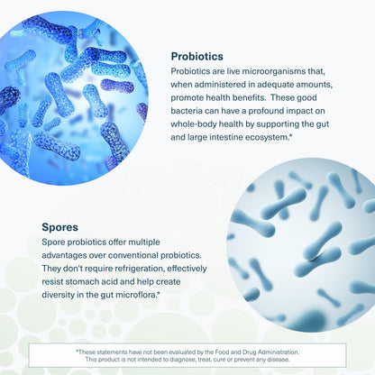 Youtheory Spore Probiotic 6B CFU - Digestive Support - 60 Veggie Caps