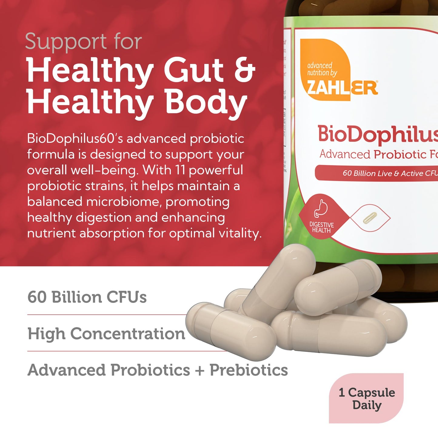 Zahler Biodophilus 60 Billion Live Cultures per Serving – Digestive Health, Kosher, 30 Capsules