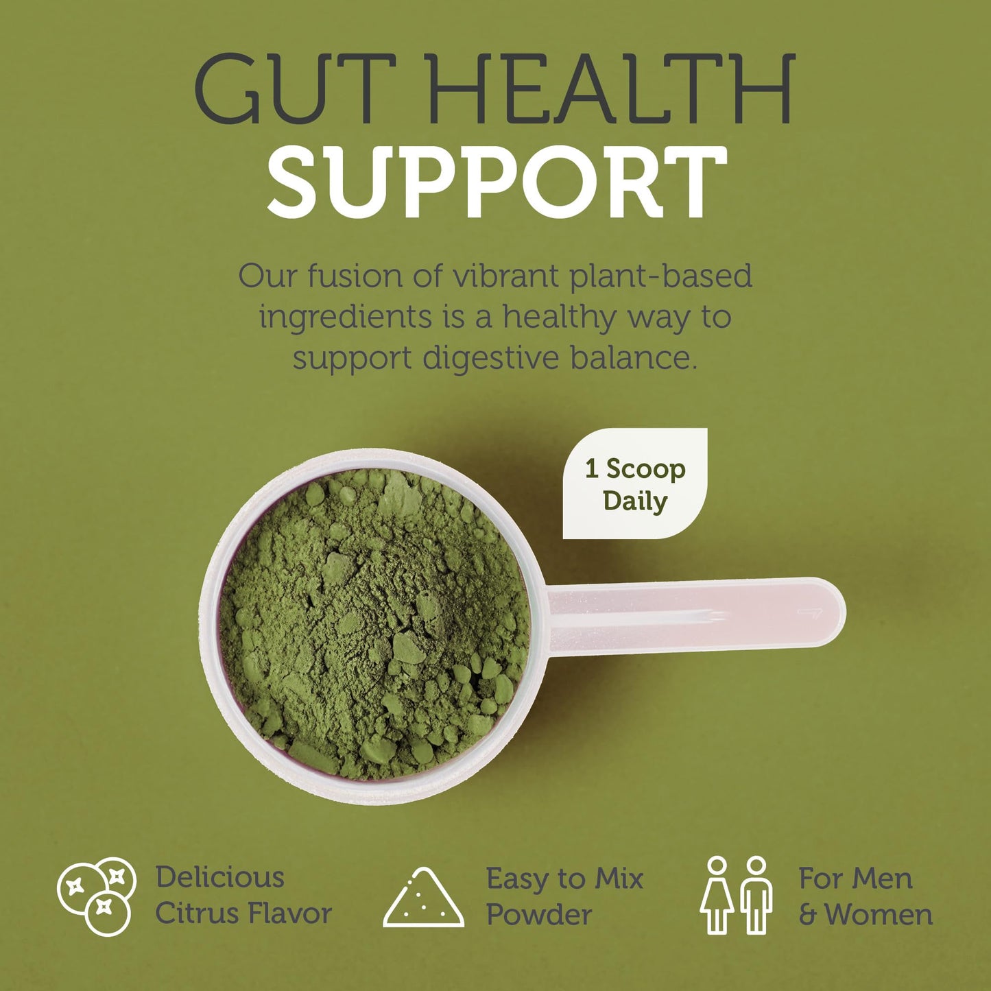 Zahler Core Greens Powder - Organic Greens Superfood (Citrus) | Spirulina, Chlorella & More