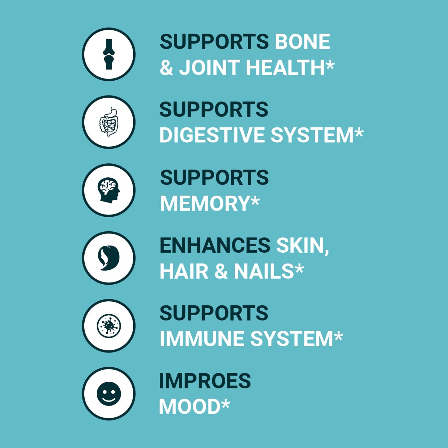 Zammex Bone Broth Protein Powder – Grass-Fed Vanilla, 10g Protein, Non-GMO