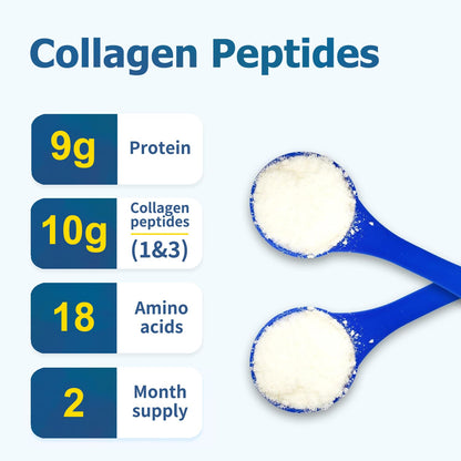 Zammex Premium Collagen Peptides Powder Unflavored – Grass-Fed, Type I & III, 60 Servings