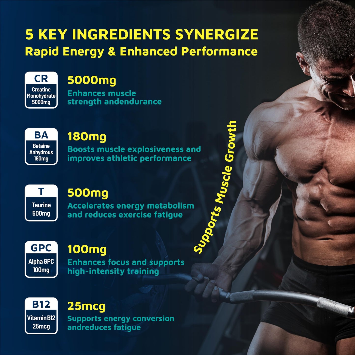 Zealtonic Creatine Monohydrate Gummies 5800mg – 0 Sugar | Pre-Workout Energy Booster