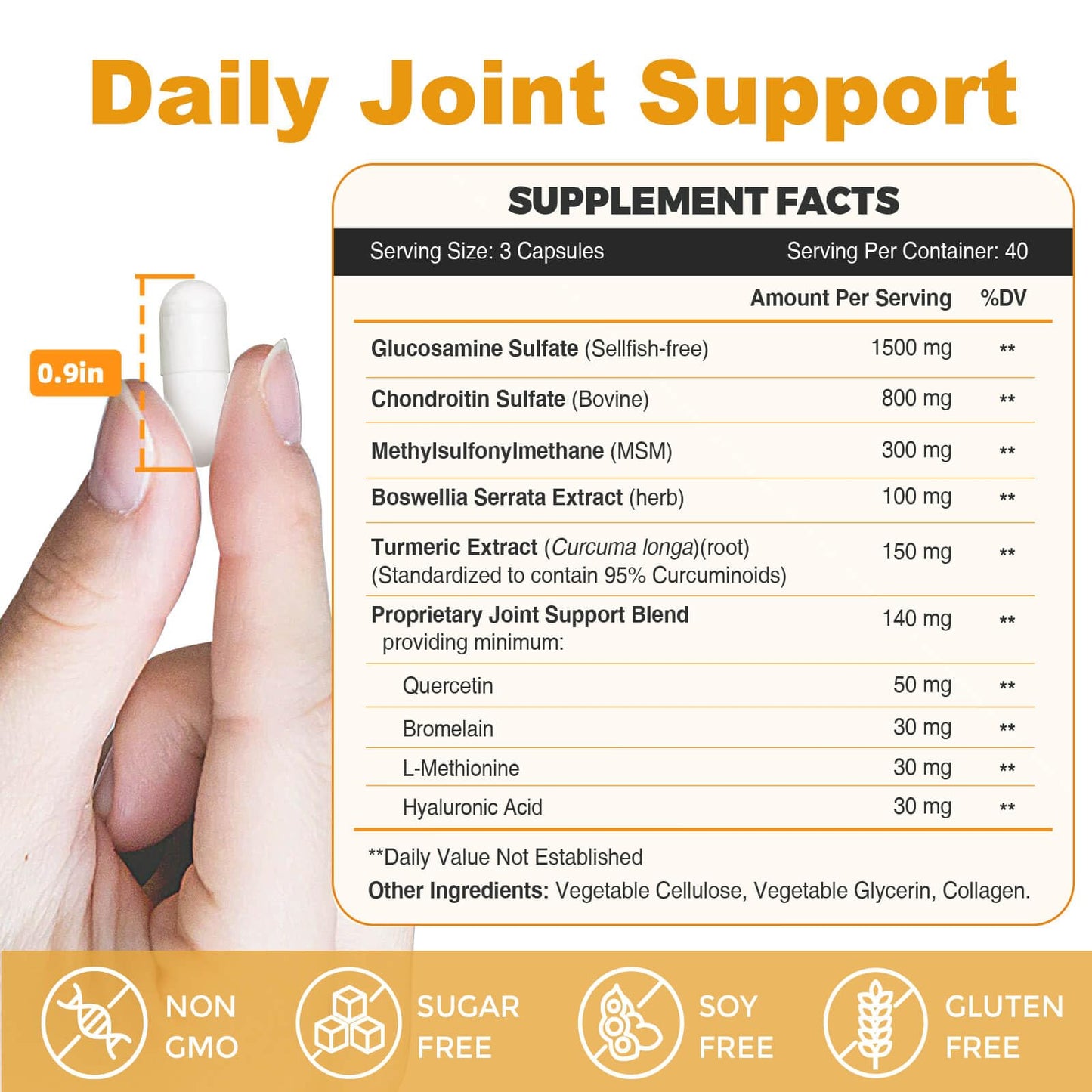ZEBORA Glucosamine Chondroitin MSM + Turmeric & Boswellia – Joint Support Supplement, 120 Capsules (Pack of 2)