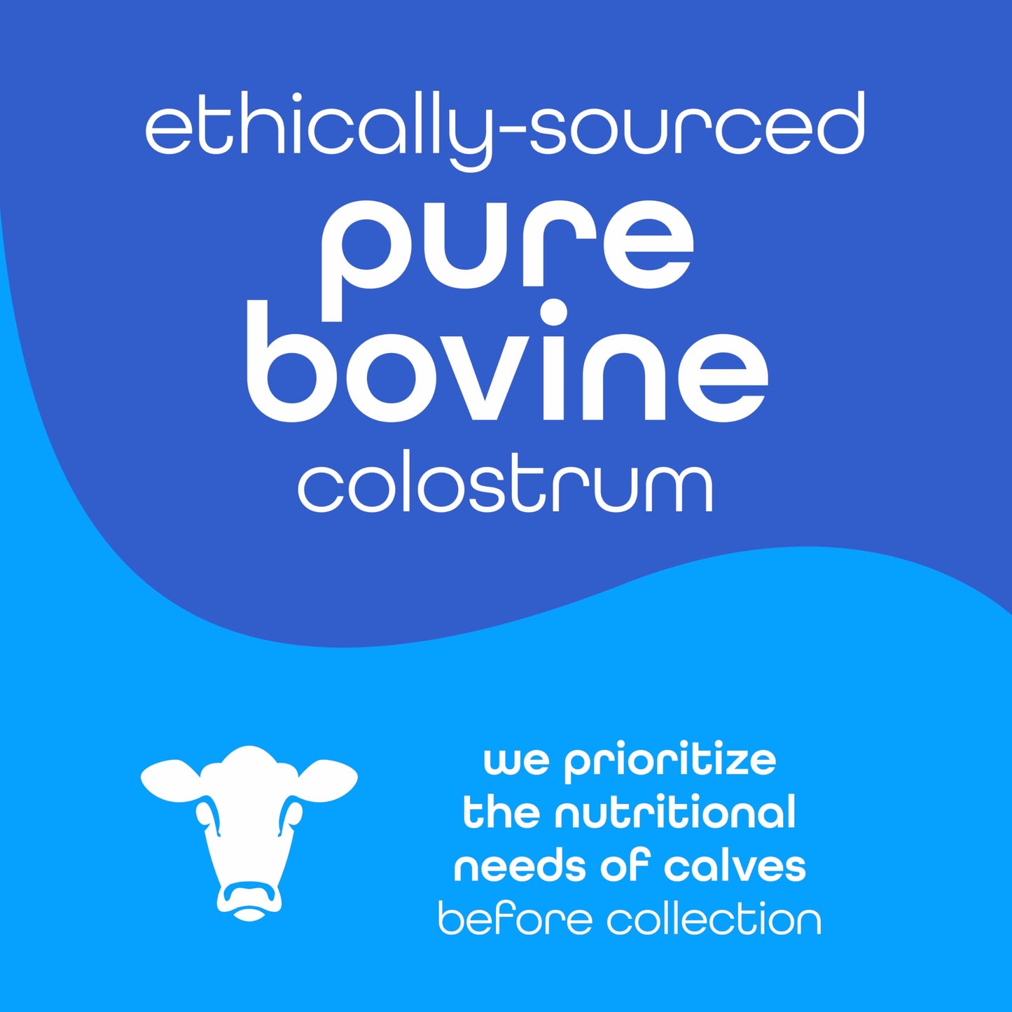 Zena Nutrition Bovine Colostrum Powder – 2000mg, Immune & Digestive Support, Unflavored, 30 Servings