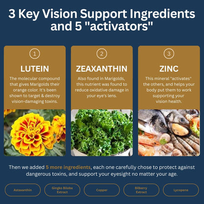 Zenith Labs Vision 20 Eye Vitamins – Lutein, Zeaxanthin & Bilberry – Supports Eye Comfort – Carotenoid Blend – 3 Pack