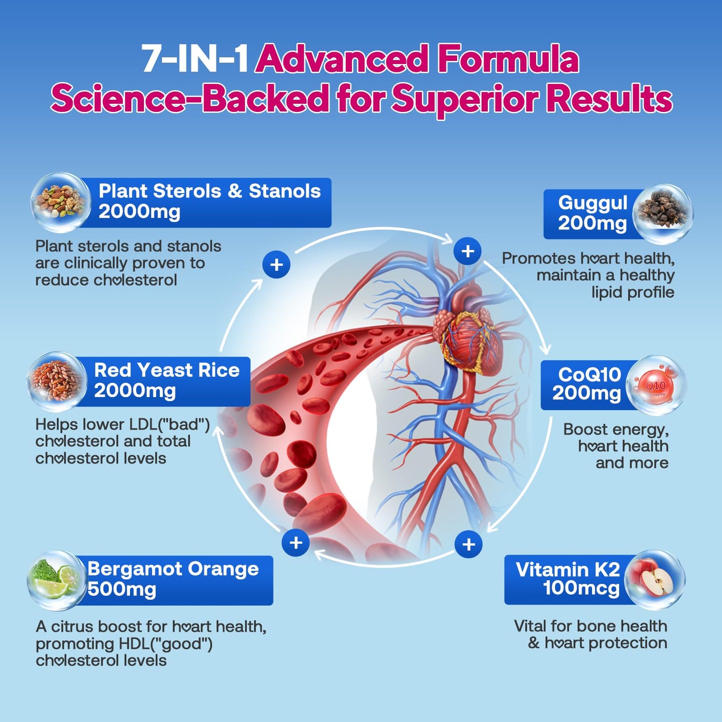 Zetelixia Cholesterol Lowering Gummies – Plant Sterols & Stanols, Red Yeast Rice | Vegan, Non-GMO | Mixed Berry 90Ct