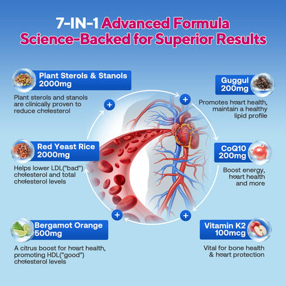Zetelixia Cholesterol Lowering Gummies – Plant Sterols & Stanols, Red Yeast Rice | Vegan, Non-GMO | Mixed Berry 90Ct