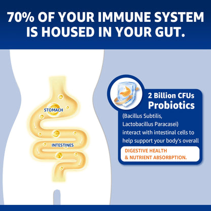 Zinc Gummies with Copper + Probiotics, Vitamin B6 for Max Absorption – Vegan, Non-GMO, 60 Cts