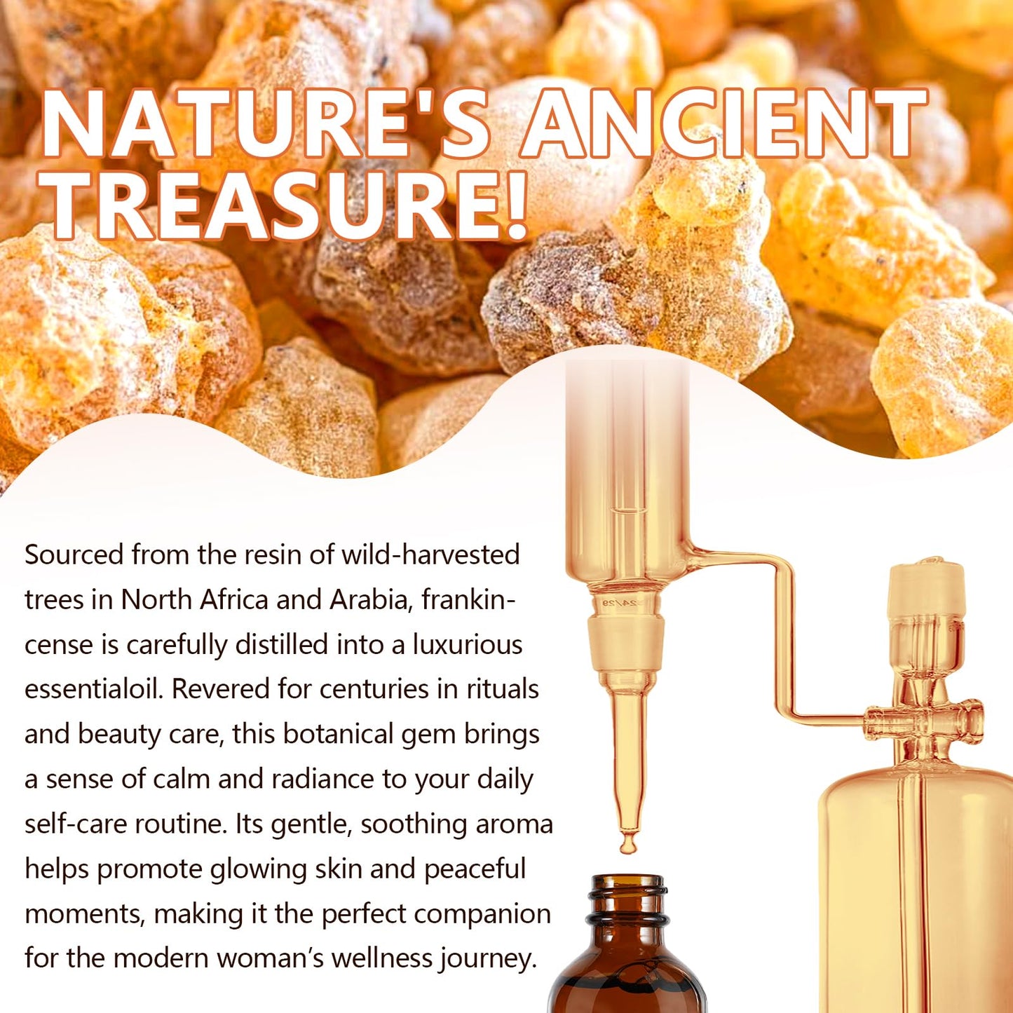 ZIXAOK Frankincense Resin Oil for Face & Body – Anti-Aging, Hydration, Reduces Fine Lines (2.02 fl oz)