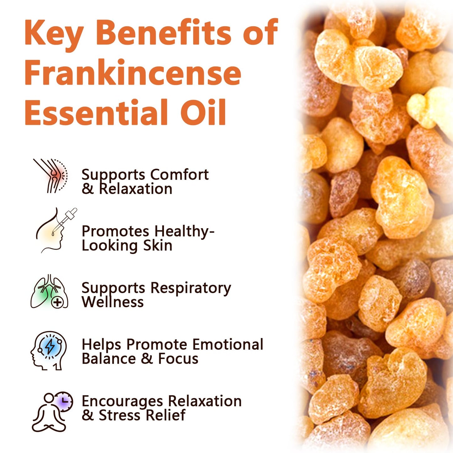 ZIXAOK Frankincense Resin Oil for Face & Body – Anti-Aging, Hydration, Reduces Fine Lines (2.02 fl oz)