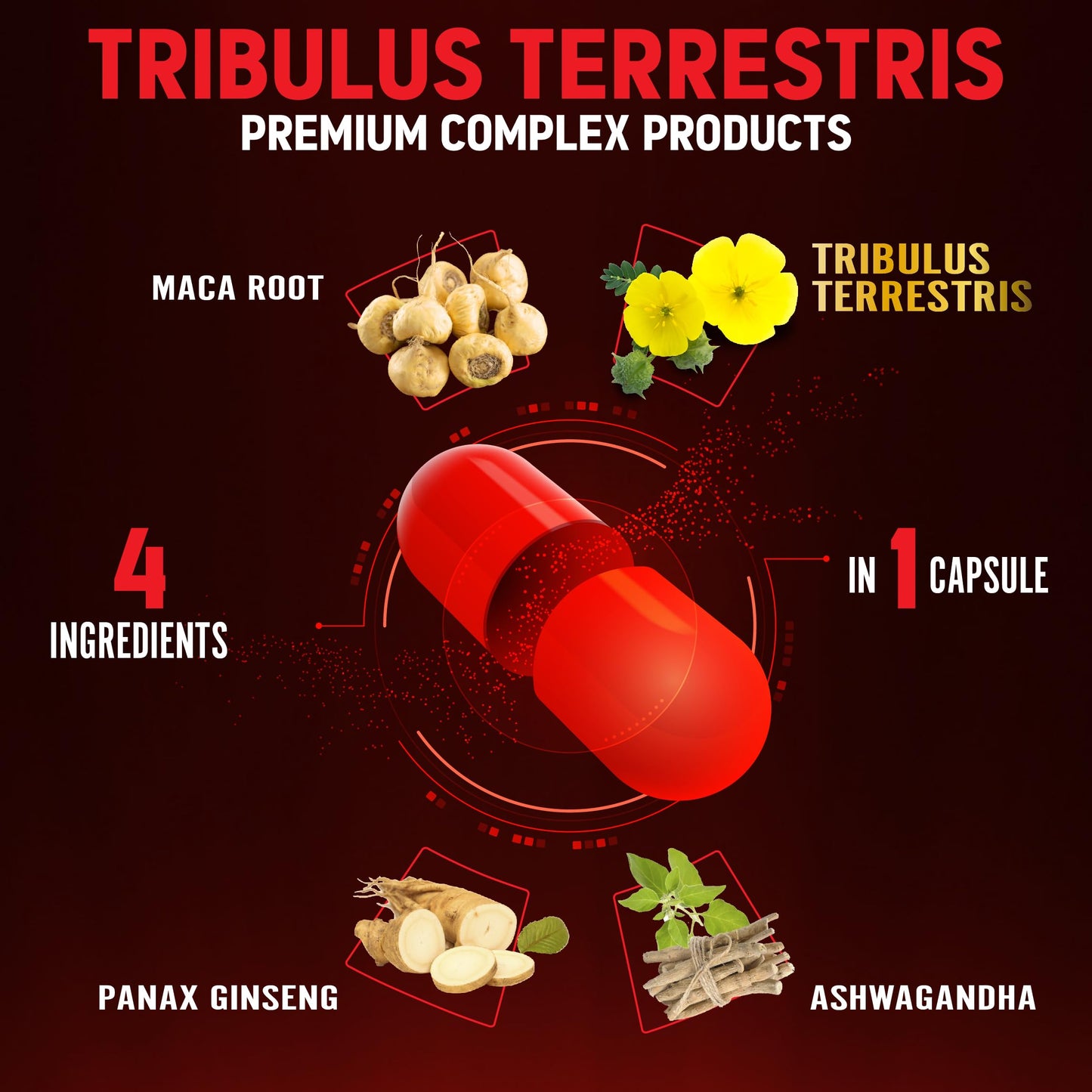Zolotus Premium Tribulus Terrestris Capsules with Ashwagandha, Panax Ginseng & Maca – 90 Count (3 Months)